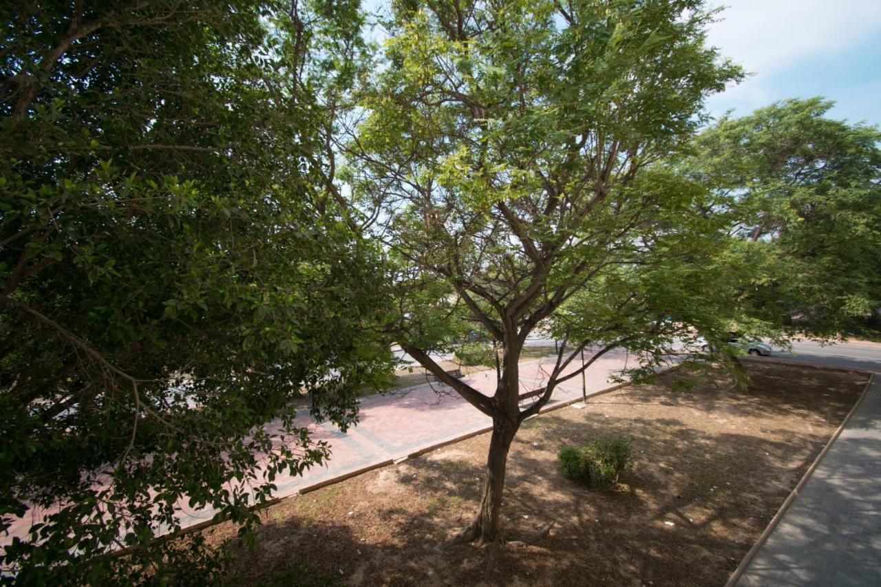 113 Beach And Trees - Alicante Holiday Торрев'єха Екстер'єр фото