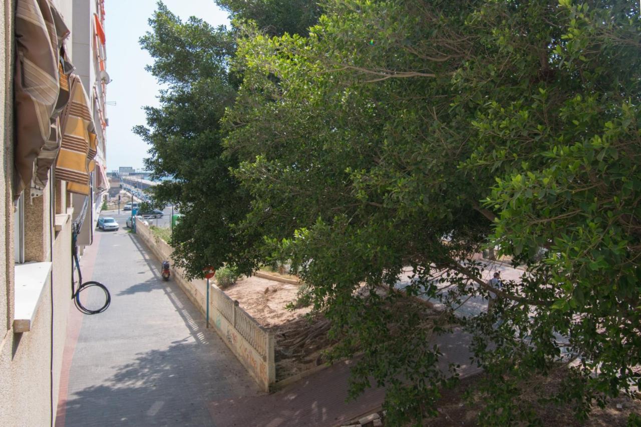 113 Beach And Trees - Alicante Holiday Торрев'єха Екстер'єр фото